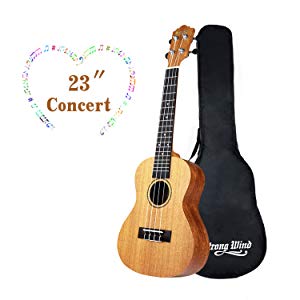 Mahogany Ukulele Start Kit picture